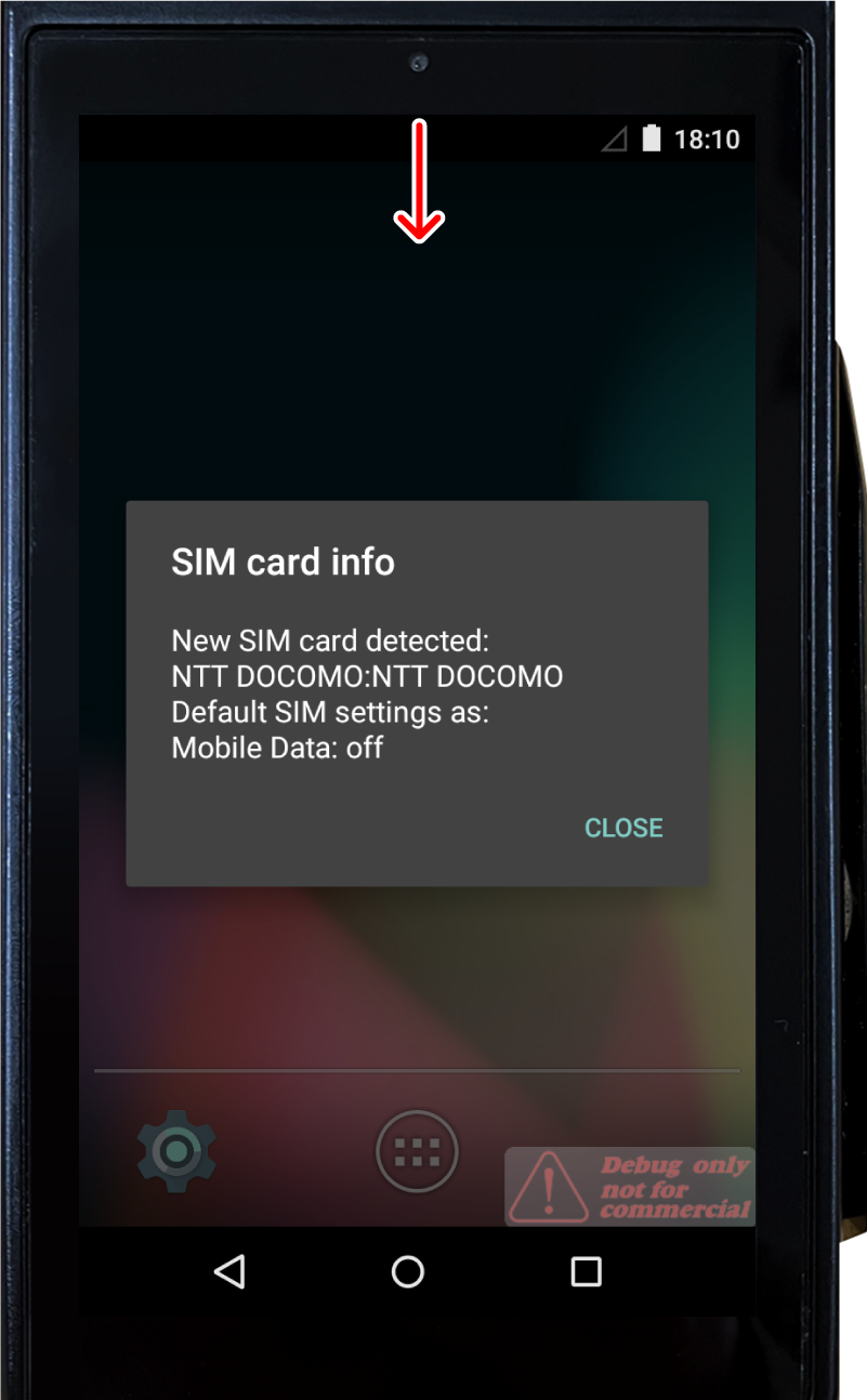 paygate-sim-11.png