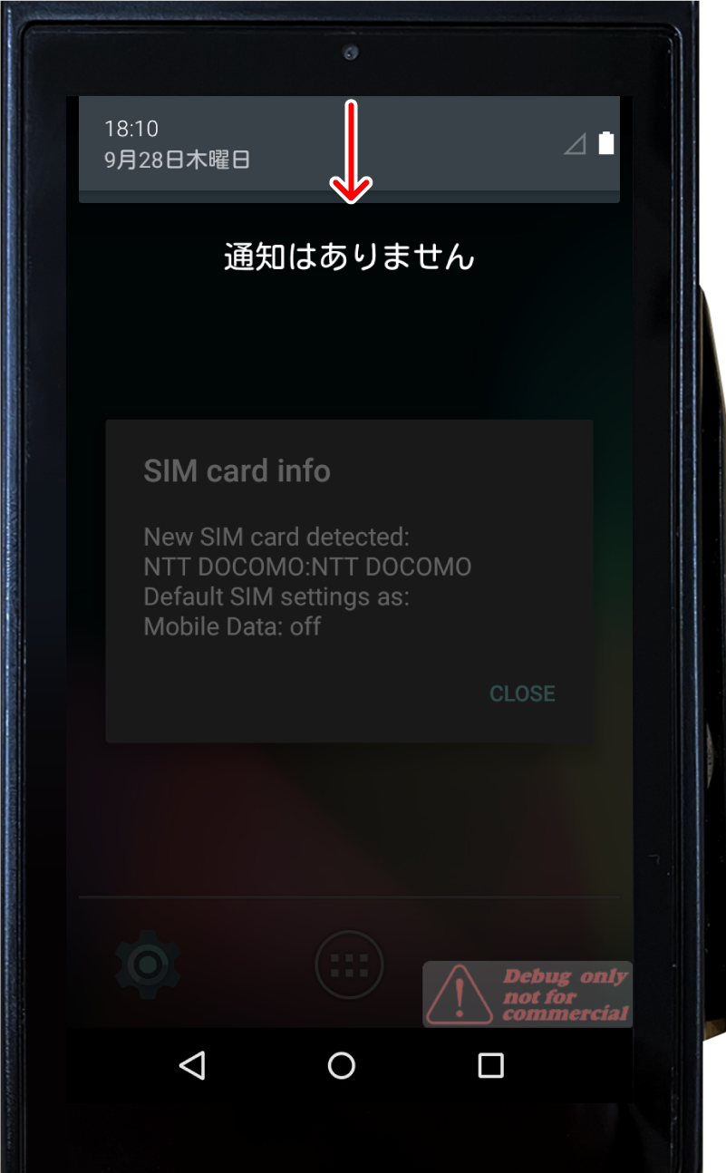 paygate-sim-12.png